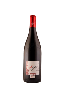Merlot "Lafoi" Alto Adige DOC